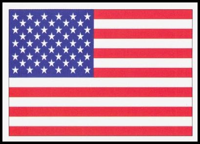 737 American Flag Peace